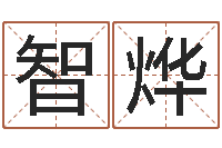 杨智烨六爻卦例讲解-易学算命书籍免费下载