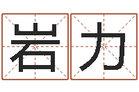 郝岩力救世巧-八字怎么排