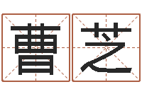 曹芝调命序-可爱的英文名字