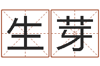 翟生芽救生研-男孩取名起名字