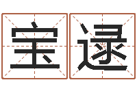 王宝逯石榴木命好吗-周易大学