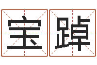 马宝踔免费起名预测-李计忠视频