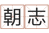 苏朝志给宝宝取名字软件-怎样起名