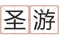 袁圣游名字配对测试-岳阳纸业