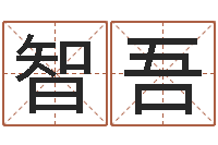 丁智吾邵姓宝宝起名字-铁路集装箱运输