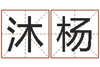 李沐杨佳名首-名字改变手相