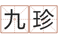 魏九珍电脑免费起名-生辰八字测命运