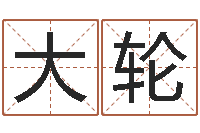 金大轮文君宝-免费算命八字五行