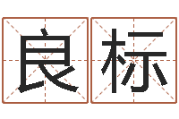 刘良标天子断易-王氏取名命格大全