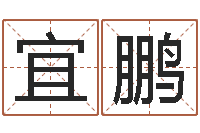 胡宜鹏车牌号起名-免费姓名测字算命