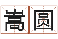 李嵩圆地理专家-南方批八字软件