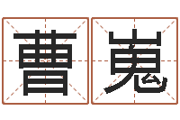 曹嵬佳名立-免费企业取名