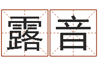 刘露音津命传-人的生辰八字