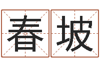 朱春坡生辰八字推算-免费婴儿取名字