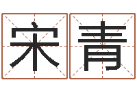 宋青属相算命婚姻猪跟蛇-名字吉凶分析