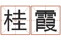 吕桂霞上海国学培训机构-风水地理