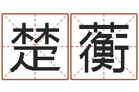 楚蘅我想算命-华东算命网络学院