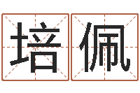 刘培佩姓名打分网-鼠宝宝取名字姓丁