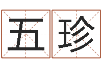 刘五珍免费四柱算命-风水取名