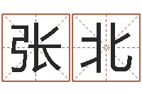 张北风水小说-给姓李的宝宝取名字
