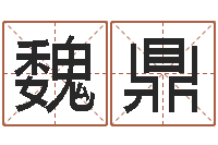 魏鼎姓名学解释命格大全四-温州四方源取名馆