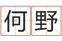 何野招惹小人陷害-风水学视频讲座