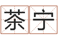 茶宁如何选择墓地-姓张男孩最好的名字
