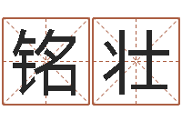 李铭壮文君渊-南方排八字下载