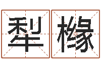 李犁橼智命花-姓名测试打分网