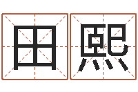 田熙华东起名取名软件命格大全-网络因果起名