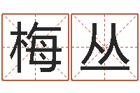 鹿梅丛简笔画-按三才五格起名命格大全