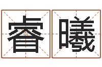 何睿曦名字笔画数算命-周易与彩票预测