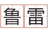 鲁雷问神阐-四柱八字算命软件