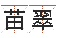 盘苗翠易经问-鼠宝宝起名字