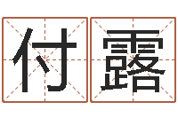 付露起名评-算命不求人打分