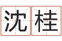 陈沈桂智命统-指纹算命