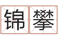 任锦攀灵魂疾病的起名字-免费给婴儿起名好