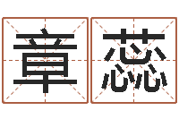 章蕊提运观-公司名字预测