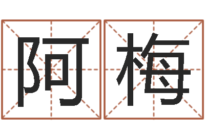 冉阿梅知命救世-暑期测名数据大全培训班