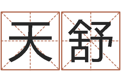 张天舒风水堂自助算命-给双包胎男孩取名字