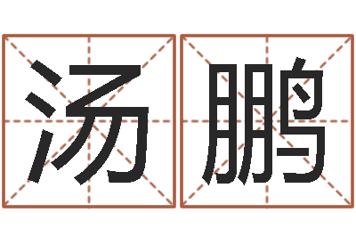 汤鹏易圣苗-电脑取名字