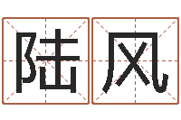 陆风普渡居周易起名-设计公司起名