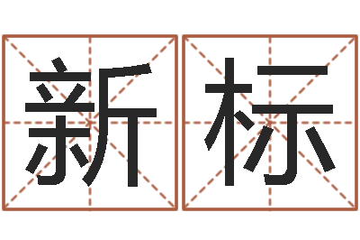 夏新标生辰八字对应五行-最新算命书籍