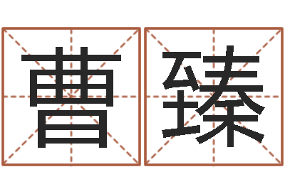 曹臻提命易-如何算生辰八字