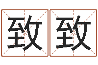 吕致致周易与百事-出生年月日测试命运蛇