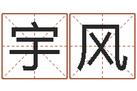 翁宇风舞蹈学习班-开公司取名字