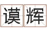 毛谟辉八字怎么排-怎样给公司取名