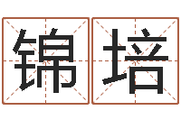 蒋锦培童子命年出生运程-风水宝地图片