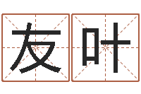 谭友叶命运八字-诸葛八字合婚破解版