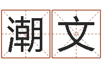 张潮文查询还受生钱年结婚吉日-测事业运程